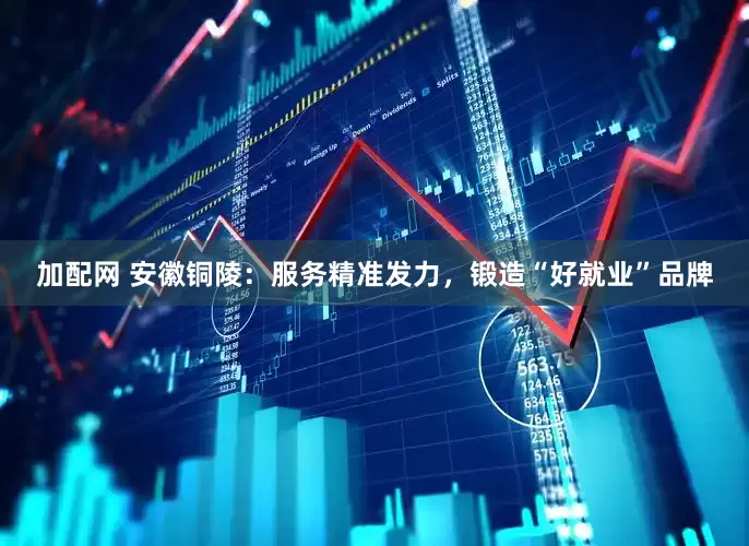 加配网 安徽铜陵：服务精准发力，锻造“好就业”品牌