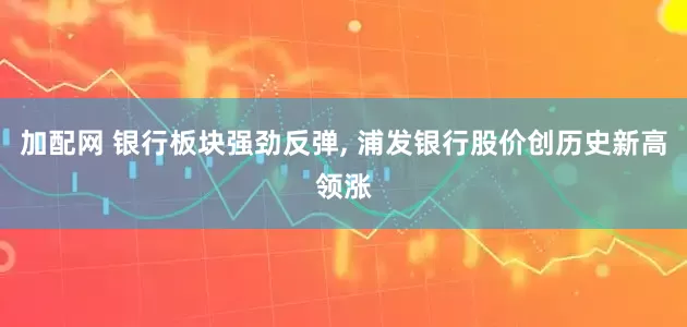 加配网 银行板块强劲反弹, 浦发银行股价创历史新高领涨