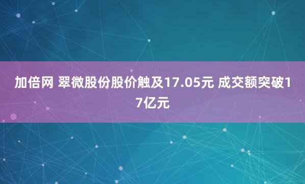 加倍网 翠微股份股价触及17.05元 成交额突破17亿元