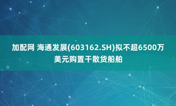 加配网 海通发展(603162.SH)拟不超6500万美元购置干散货船舶