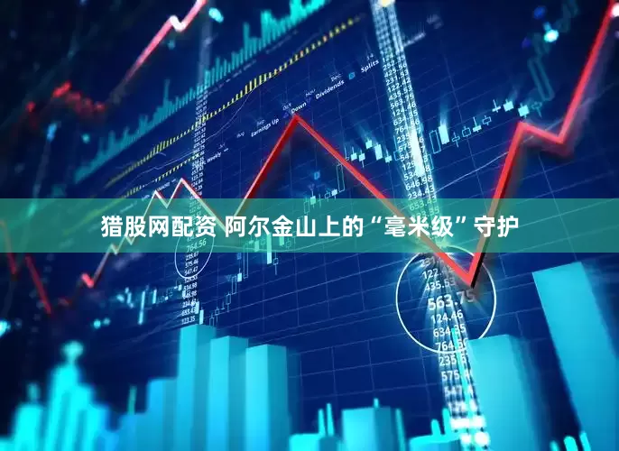 猎股网配资 阿尔金山上的“毫米级”守护