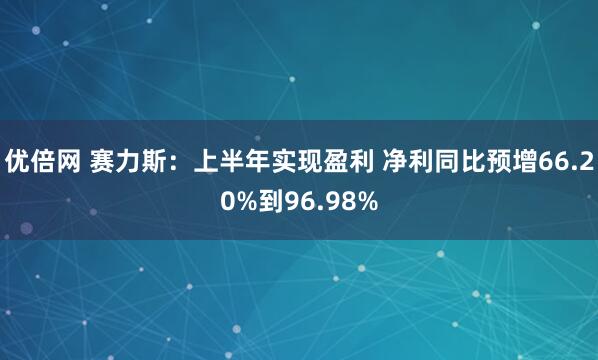 优倍网 赛力斯：上半年实现盈利 净利同比预增66.20%到96.98%