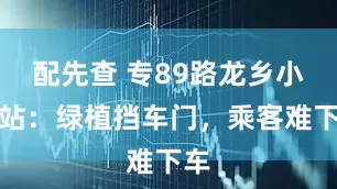 配先查 专89路龙乡小区站：绿植挡车门，乘客难下车