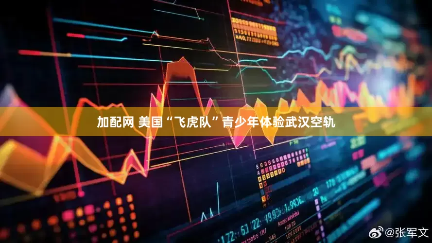 加配网 美国“飞虎队”青少年体验武汉空轨