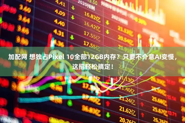 加配网 想独占Pixel 10全部12GB内存？只要不介意AI变慢，这招轻松搞定！