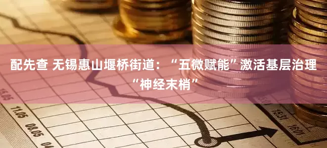 配先查 无锡惠山堰桥街道：“五微赋能”激活基层治理“神经末梢”
