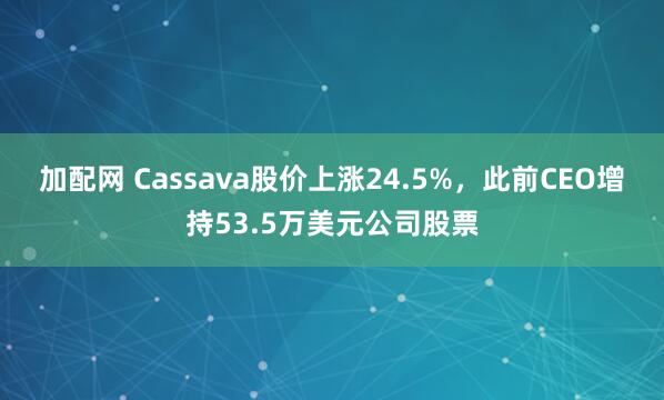 加配网 Cassava股价上涨24.5%，此前CEO增持53.5万美元公司股票